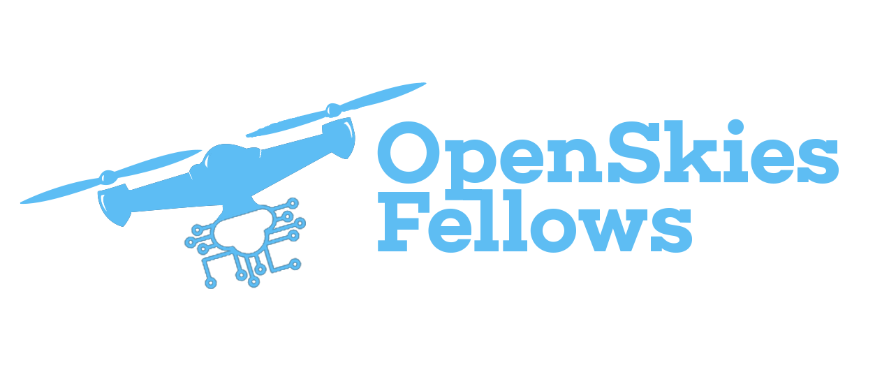 Open Skies Fellows